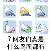 网友们真是什么鸟图都有 - 大熊逗图 -狐狸小站