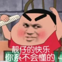 蜡笔小新大合集表情-11 - 大熊逗图 -狐狸小站