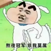 蜡笔小新大合集表情-6  - 大熊逗图 -狐狸小站