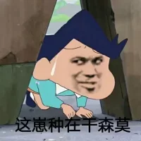 蜡笔小新大合集表情-3  - 大熊逗图 -狐狸小站