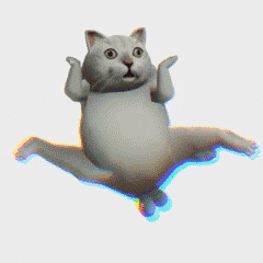 憨憨猫蔡徐坤恶搞动图表情-17 - 大熊逗图 -狐狸小站