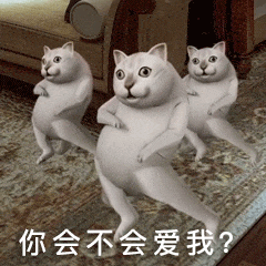 憨憨猫蔡徐坤恶搞动图表情-2  - 大熊逗图 -狐狸小站