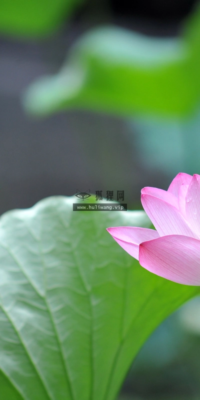 【291】风景壁纸  4K 超清壁纸3840_2400@青蛙壁纸-笨猫小站