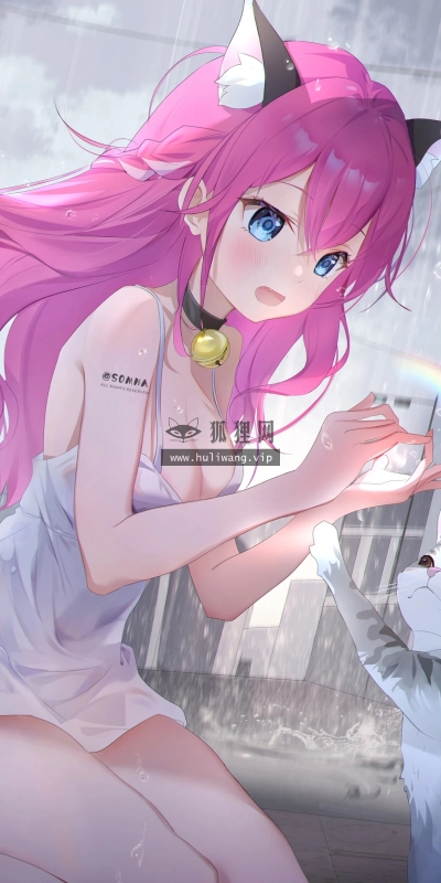【347】游戏壁纸  4K 超清壁纸1080_2400@青蛙壁纸-笨猫小站