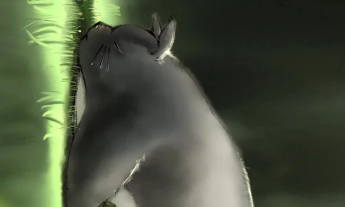 【498】动漫壁纸  4K 超清壁纸1080_2400@青蛙壁纸-笨猫小站