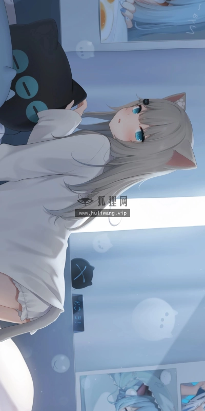 【499】动漫壁纸  4K 超清壁纸1080_2400@青蛙壁纸-笨猫小站