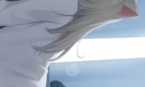 【499】动漫壁纸  4K 超清壁纸1080_2400@青蛙壁纸-笨猫小站