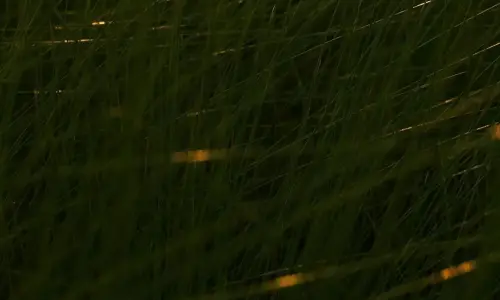 【545】风景壁纸  4K 超清壁纸1080_2340@青蛙壁纸-笨猫小站