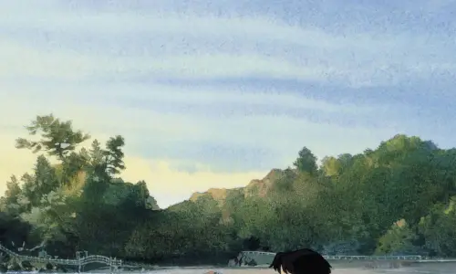 【547】风景唯美创意创意壁纸  4K 超清壁纸1080_2340@青蛙壁纸-笨猫小站