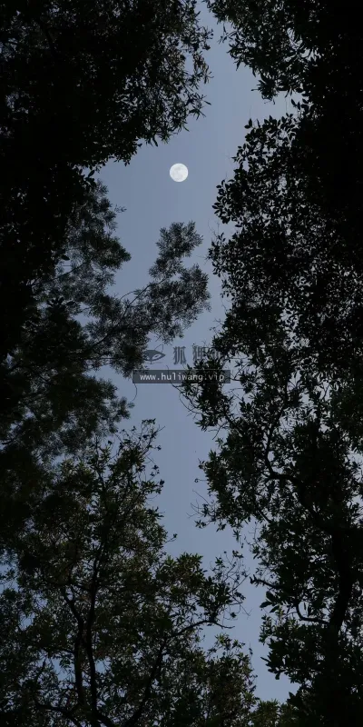 【548】风景壁纸  4K 超清壁纸1080_2340@青蛙壁纸-笨猫小站