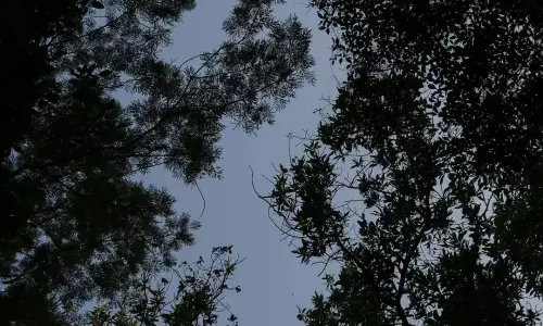【548】风景壁纸  4K 超清壁纸1080_2340@青蛙壁纸-笨猫小站