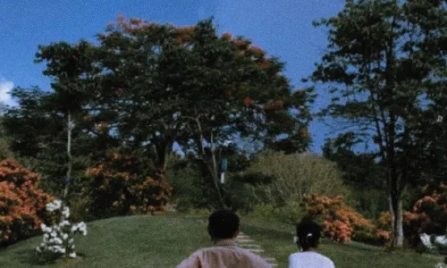 【549】风景唯美壁纸  2K 高清壁纸1080_1921@青蛙壁纸-笨猫小站