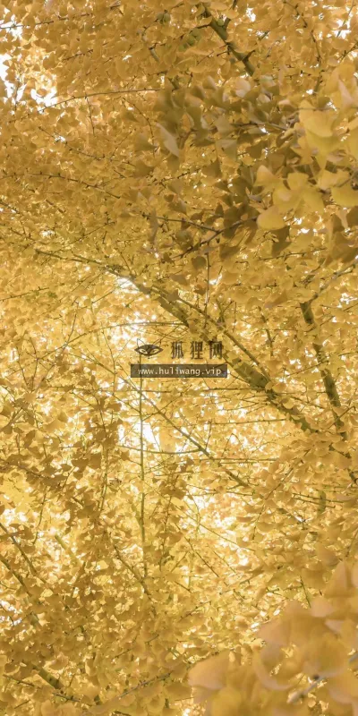 【551】风景壁纸  4K 超清壁纸1280_2628@青蛙壁纸-笨猫小站