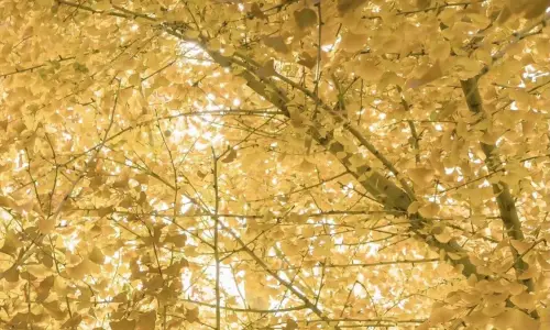 【551】风景壁纸  4K 超清壁纸1280_2628@青蛙壁纸-笨猫小站