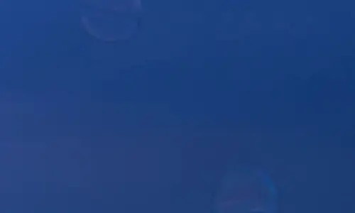 【559】风景壁纸  2K 高清壁纸1080_1920@青蛙壁纸-笨猫小站