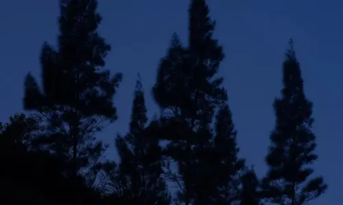 【562】风景壁纸  2K 高清壁纸1080_1920@青蛙壁纸-笨猫小站