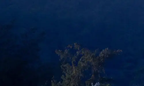 【570】风景壁纸  2K 高清壁纸1080_1920@青蛙壁纸-笨猫小站