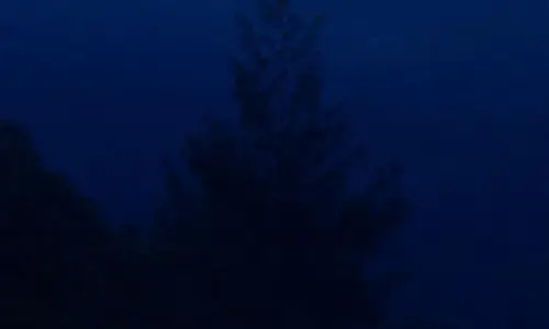 【572】风景壁纸  2K 高清壁纸1080_1920@青蛙壁纸-笨猫小站