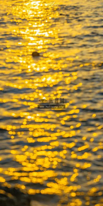 【573】风景壁纸  4K 超清壁纸1280_2560@青蛙壁纸-笨猫小站