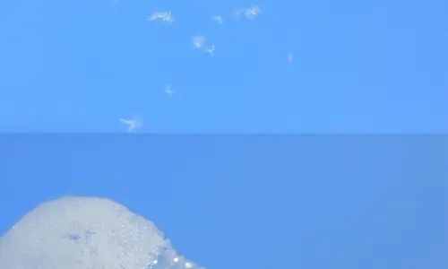 【584】风景壁纸  4K 超清壁纸1280_2557@青蛙壁纸-笨猫小站