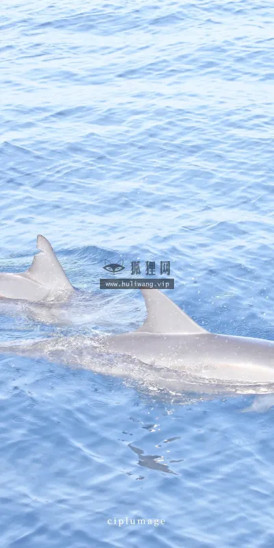 【585】风景壁纸  4K 超清壁纸1280_2275@青蛙壁纸-笨猫小站