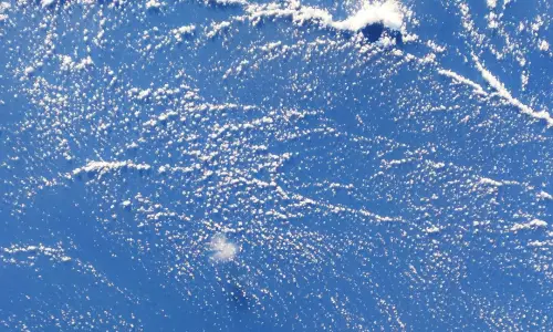 【588】风景壁纸  4K 超清壁纸1080_2340@青蛙壁纸-笨猫小站