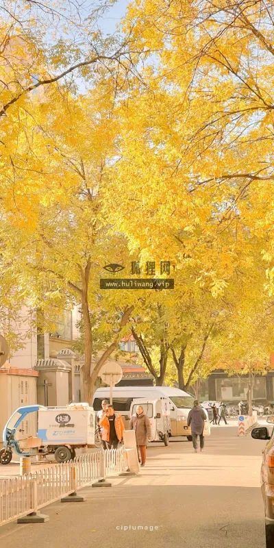 【593】风景壁纸  4K 超清壁纸1280_2275@青蛙壁纸-笨猫小站