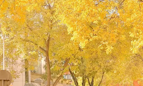 【593】风景壁纸  4K 超清壁纸1280_2275@青蛙壁纸-笨猫小站
