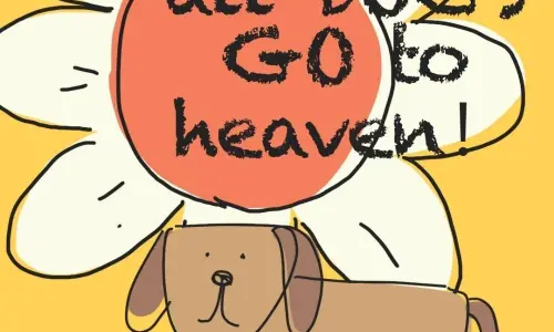 【618】创意壁纸  4K 超清壁纸1080_2339@青蛙壁纸-笨猫小站