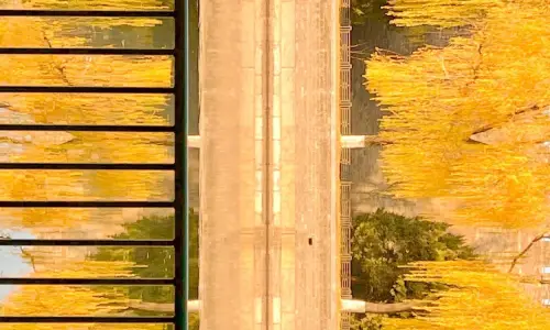 【667】风景壁纸  4K 超清壁纸1280_2276@青蛙壁纸-笨猫小站