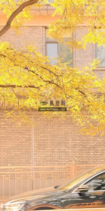【668】风景壁纸  4K 超清壁纸1280_2275@青蛙壁纸-笨猫小站