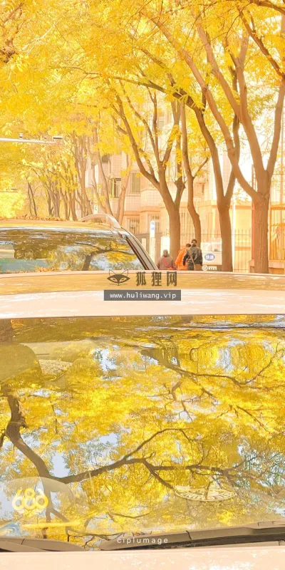 【669】风景壁纸  4K 超清壁纸1280_2275@青蛙壁纸-笨猫小站