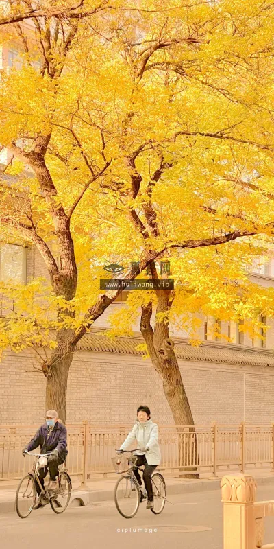 【670】风景壁纸  4K 超清壁纸1280_2275@青蛙壁纸-笨猫小站