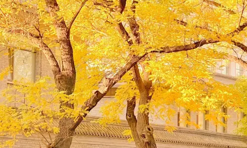 【670】风景壁纸  4K 超清壁纸1280_2275@青蛙壁纸-笨猫小站