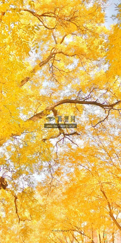 【671】风景壁纸  4K 超清壁纸1280_2275@青蛙壁纸-笨猫小站