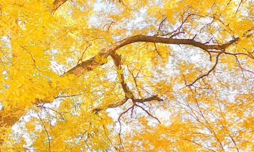 【671】风景壁纸  4K 超清壁纸1280_2275@青蛙壁纸-笨猫小站