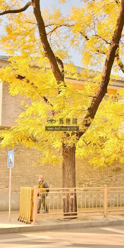 【672】风景壁纸  4K 超清壁纸1280_2275@青蛙壁纸-笨猫小站