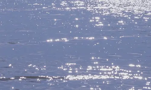 【706】风景壁纸  4K 超清壁纸1264_2247@青蛙壁纸-笨猫小站