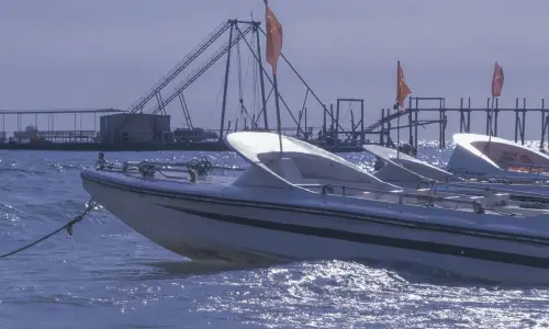 【707】风景壁纸  4K 超清壁纸1280_2276@青蛙壁纸-笨猫小站