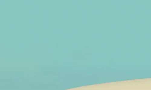 【715】创意壁纸  4K 超清壁纸1440_3120@青蛙壁纸-笨猫小站