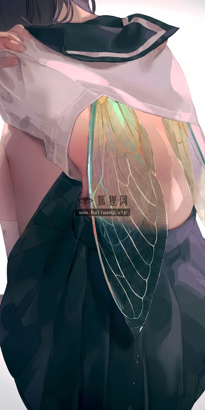 【726】创意壁纸  4K 超清壁纸1440_3120@青蛙壁纸-笨猫小站