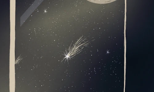 【732】创意壁纸  4K 超清壁纸1440_3120@青蛙壁纸-笨猫小站