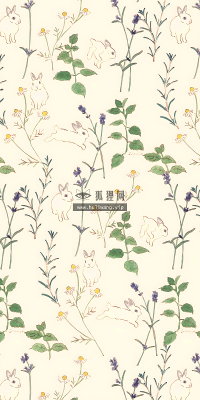 【733】创意壁纸  4K 超清壁纸1440_3120@青蛙壁纸-笨猫小站