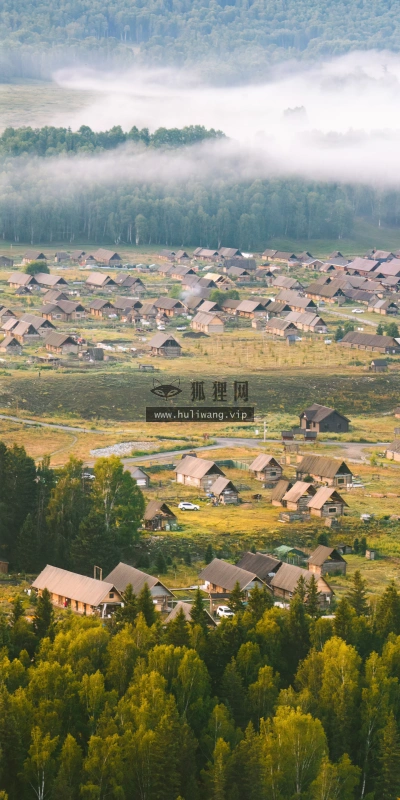 【843】创意壁纸  4K 超清壁纸1440_3120@青蛙壁纸-笨猫小站