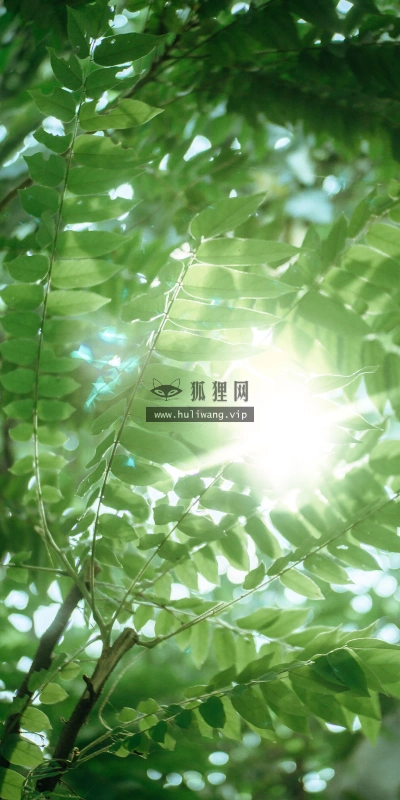 【852】风景壁纸  4K 超清壁纸1440_3120@青蛙壁纸-笨猫小站