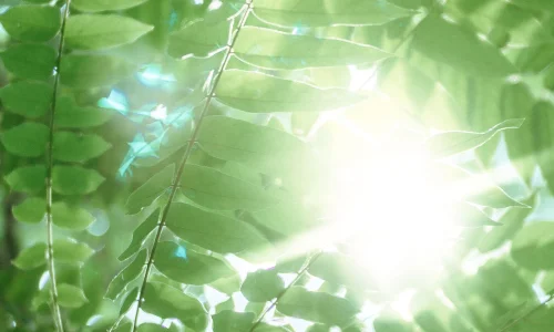 【852】风景壁纸  4K 超清壁纸1440_3120@青蛙壁纸-笨猫小站