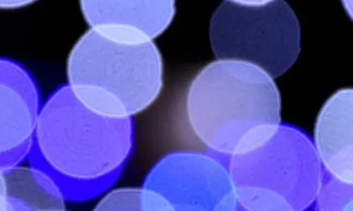 【959】创意壁纸  4K 超清壁纸1080_2337@青蛙壁纸-笨猫小站