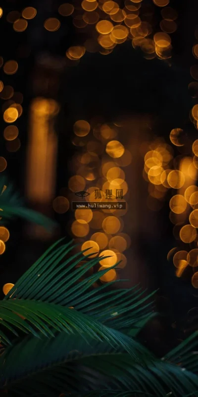 【983】创意壁纸  4K 超清壁纸1080_2337@青蛙壁纸-笨猫小站