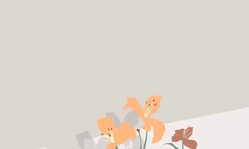 【988】创意创意壁纸  4K 超清壁纸1080_2337@青蛙壁纸-笨猫小站