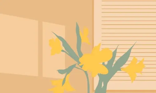 【997】创意创意壁纸  4K 超清壁纸1080_2337@青蛙壁纸-笨猫小站